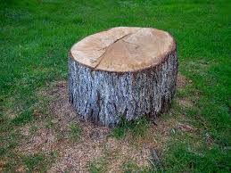 Best Tree Mulching  in Brentwood, MO